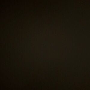 Meet your Posher, Zidan